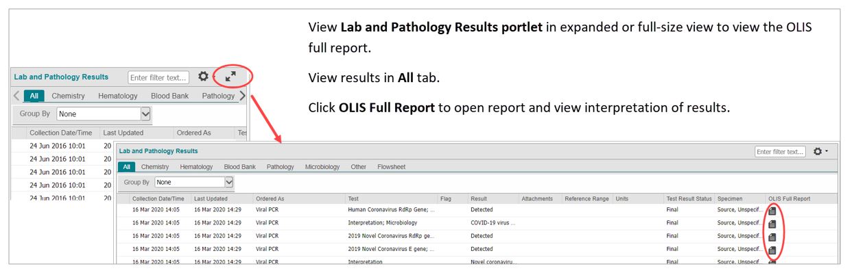 Online Access To Covid 19 Lab Test Results For Health Care Providers Ehealth Ontario It S Working For You